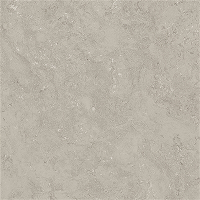 AR83305 - DONATELLO