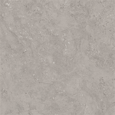 AR83305 - DONATELLO